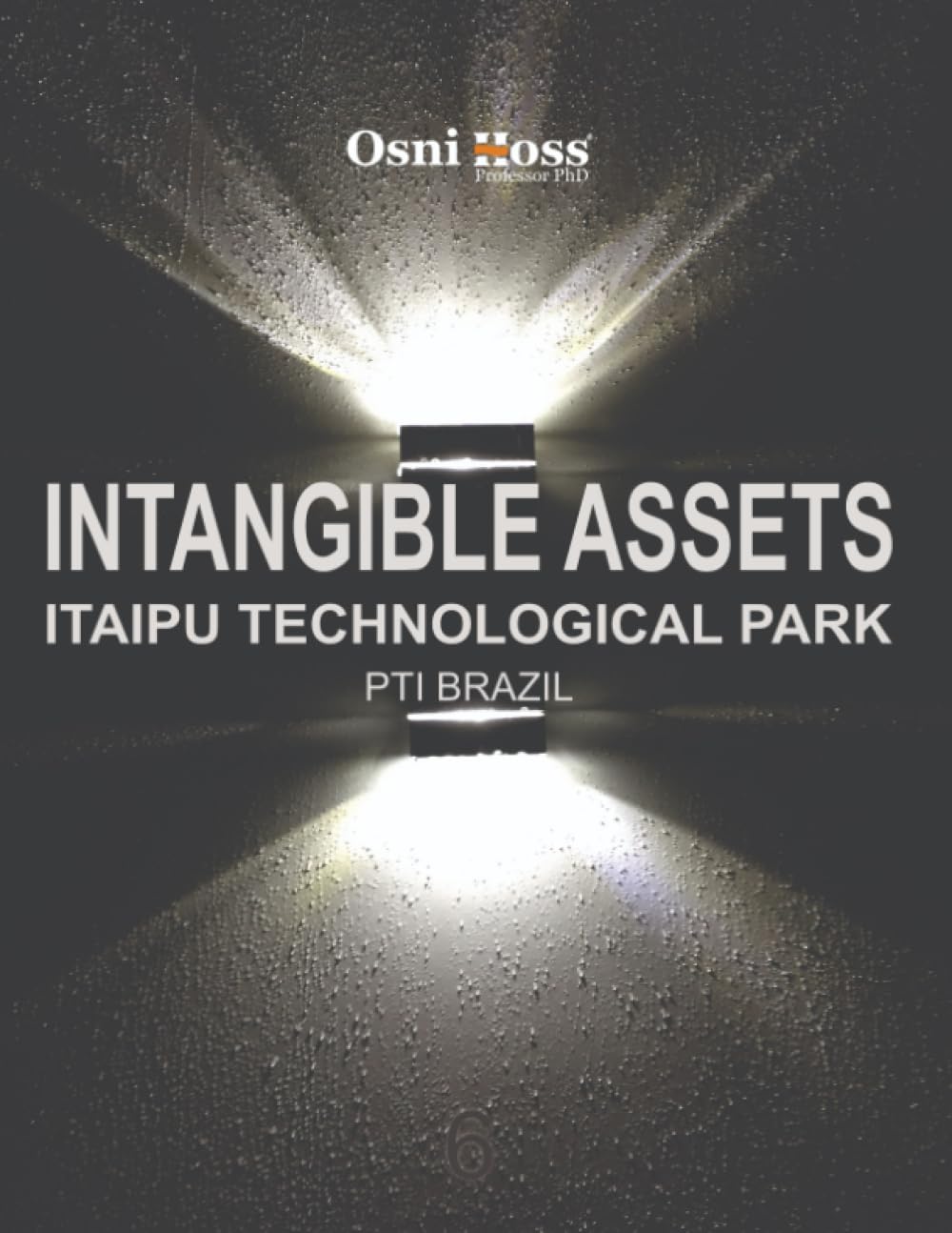 Intangible Assets: Itaipu Technological Park PTI Brazil Review