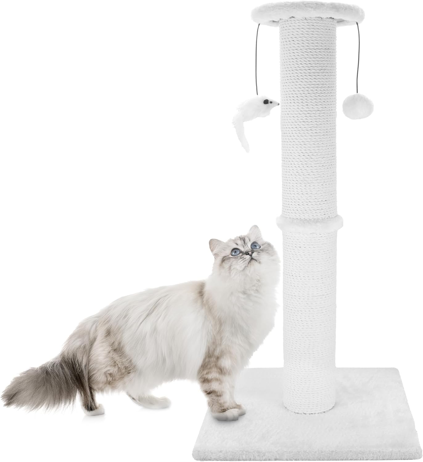 Heavy Duty 34 Inch Cat Scratching Post with Sisal Rope and Toys