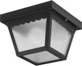 Progress Lighting 1-Light Flush Mount Ceiling Light - Traditional