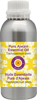 Pure Ajwain Essential Oil 1250ml Steam Distilled - Therapeutic Grade