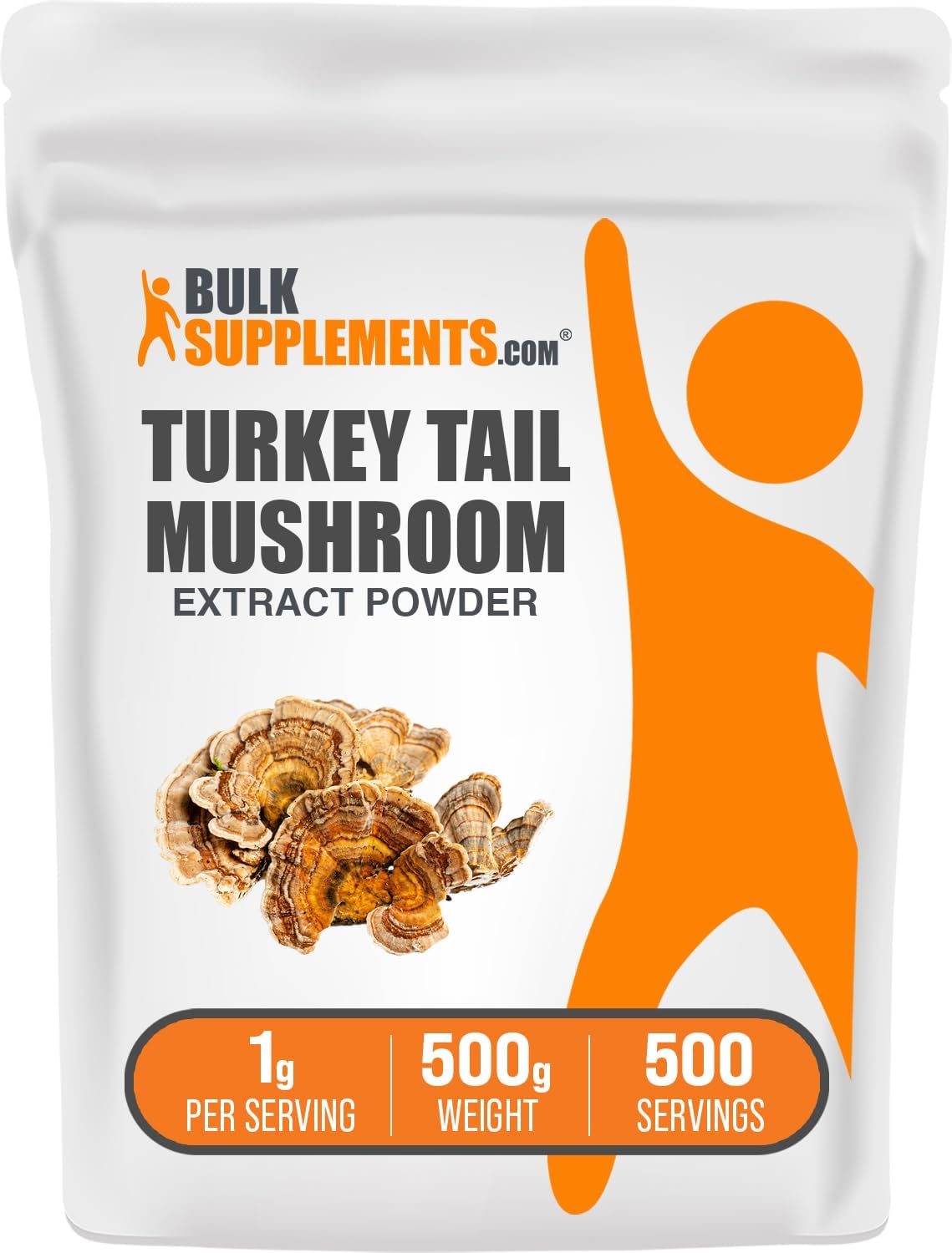 Turkey Tail Mushroom Extract Powder for Enhanced Nutrition