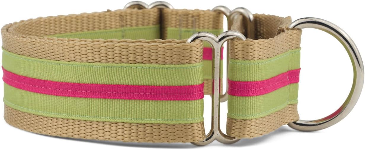 1.5 Inch Martingale Collar for Dogs - Strong and Comfy Design
