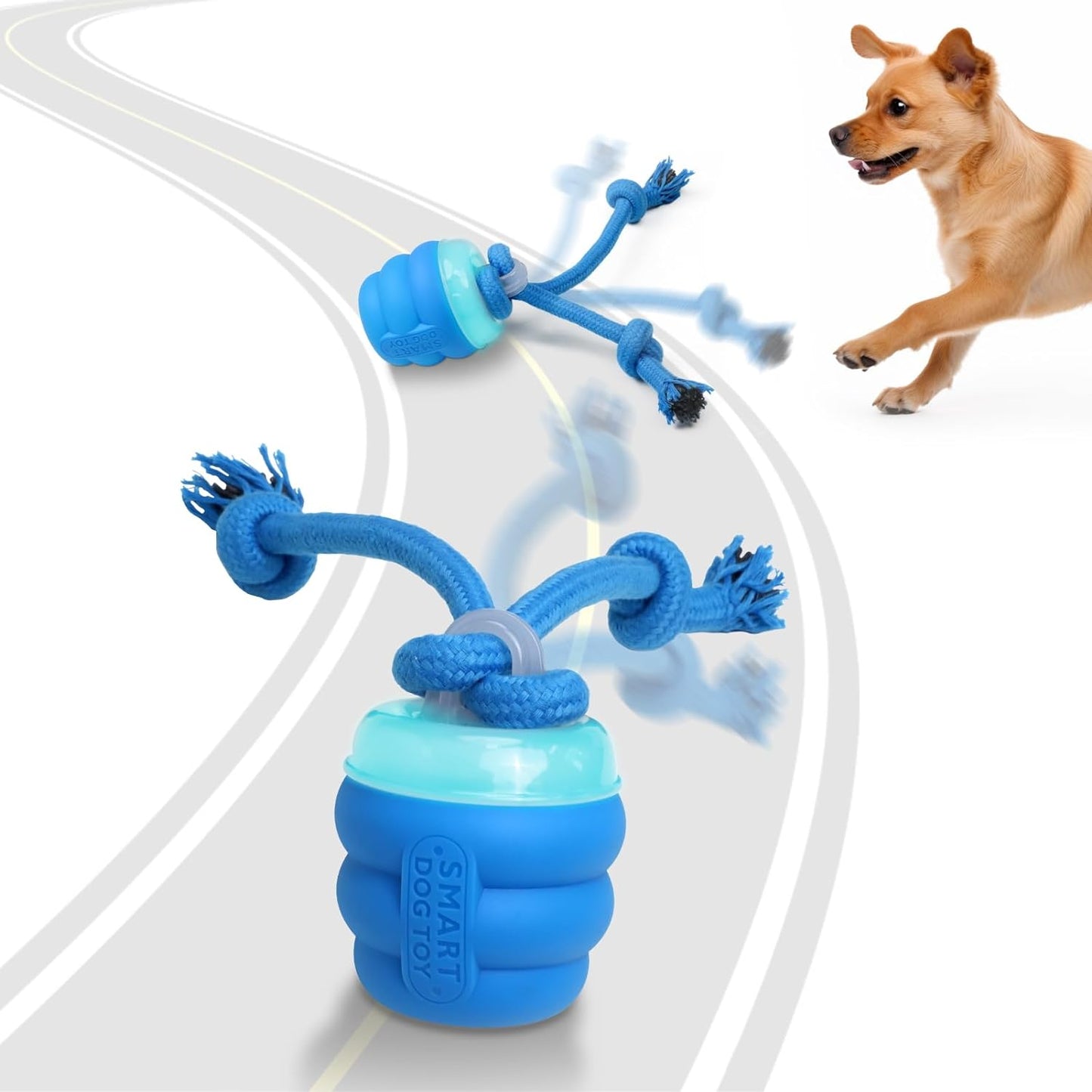 Squeaky Rolling Ball Dog Toy for Training