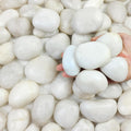 20 lbs White River Rocks for Landscaping and Garden Decor