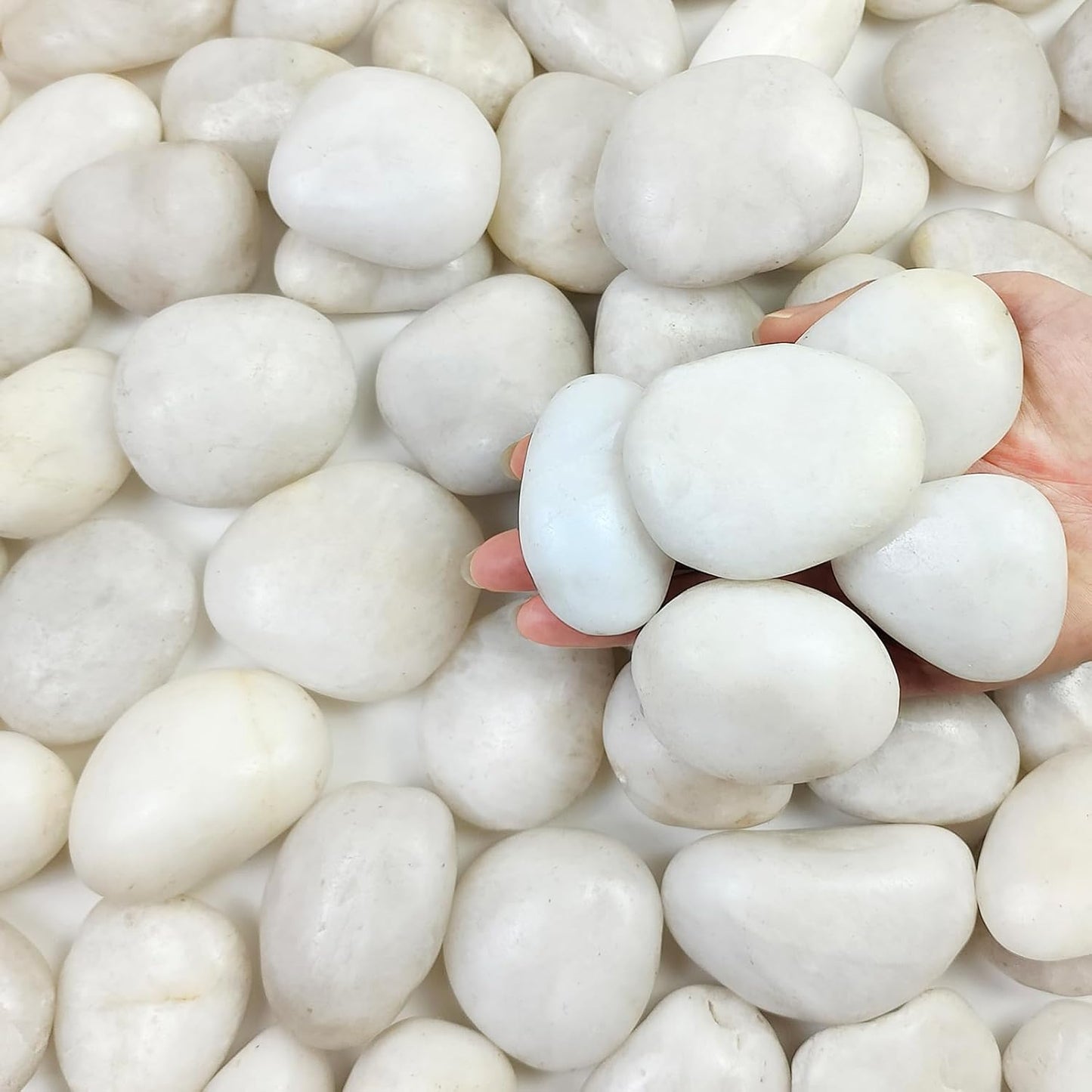 20 lbs White River Rocks for Landscaping and Garden Decor