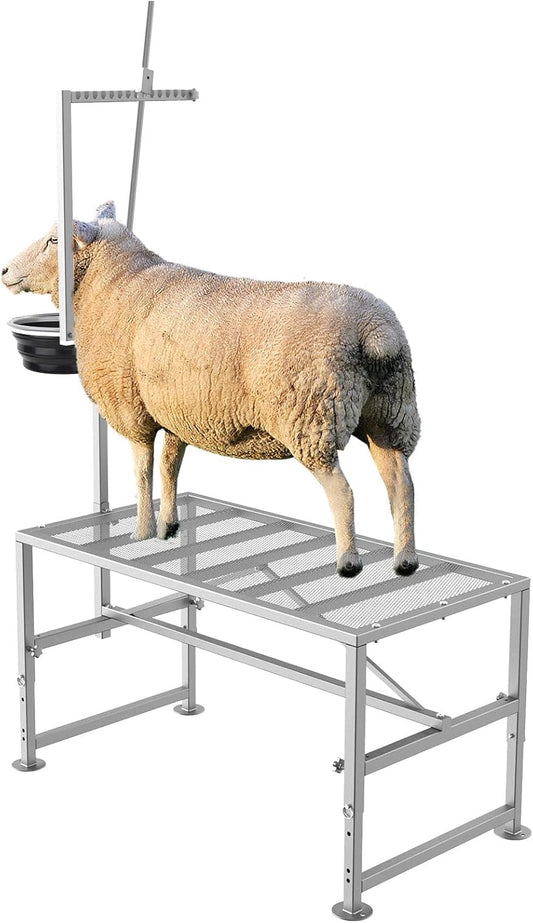 600 LBs Goat Stand with Feed Bin for Milking and Trimming