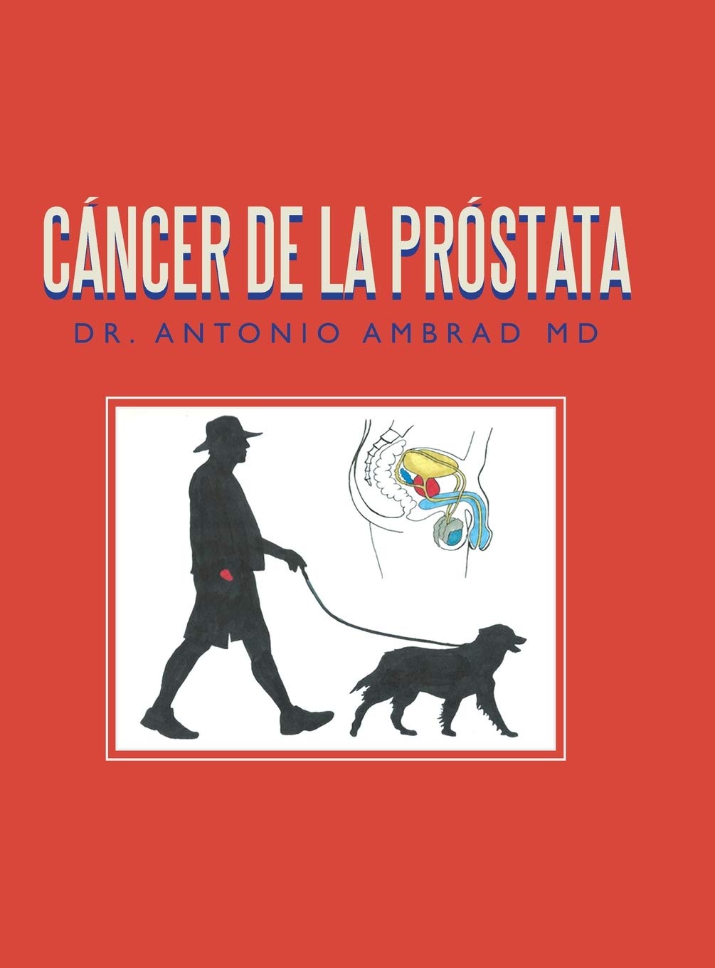 Cancer De La Prostata: Essential Insights for Patients and Caregivers