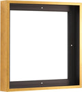 Pixy Canvas 28x28 in Floater Frame for 1.5 in Deep Canvas - Clean