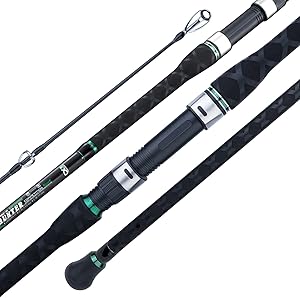 Berrypro Surf Spinning Rod for Ultimate Surf Fishing Experience