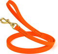Viper Biothane Tracking Lead Leash 3/4ft x 15ft - Durable, Quick-Dry