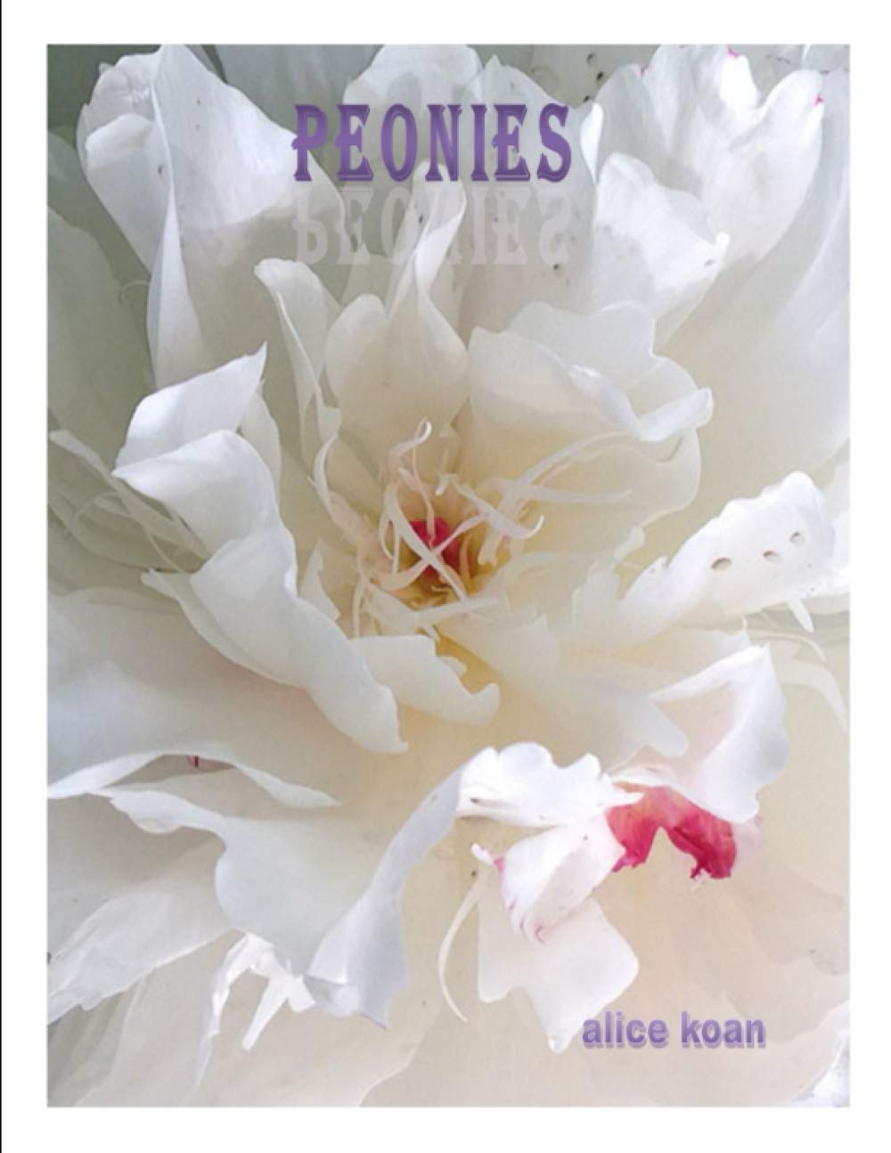 Peonies by Alice Koan - Beautiful Floral Arrangements for Home