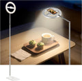 Overhead Phone Mount with Ring Light 68.5in - Rechargeable, 360