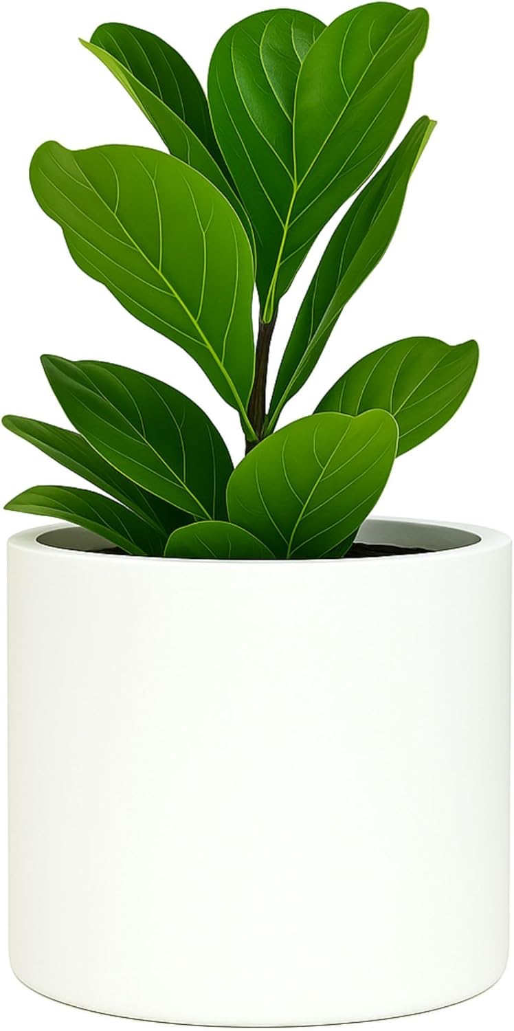 Fox & Fern 8 Inch Plant Pot with Drainage Plug for Your Plants