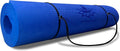 Hatha Yoga Thick TPE Yoga Mat 72in x 27in x 1/3in - Cushioned Support