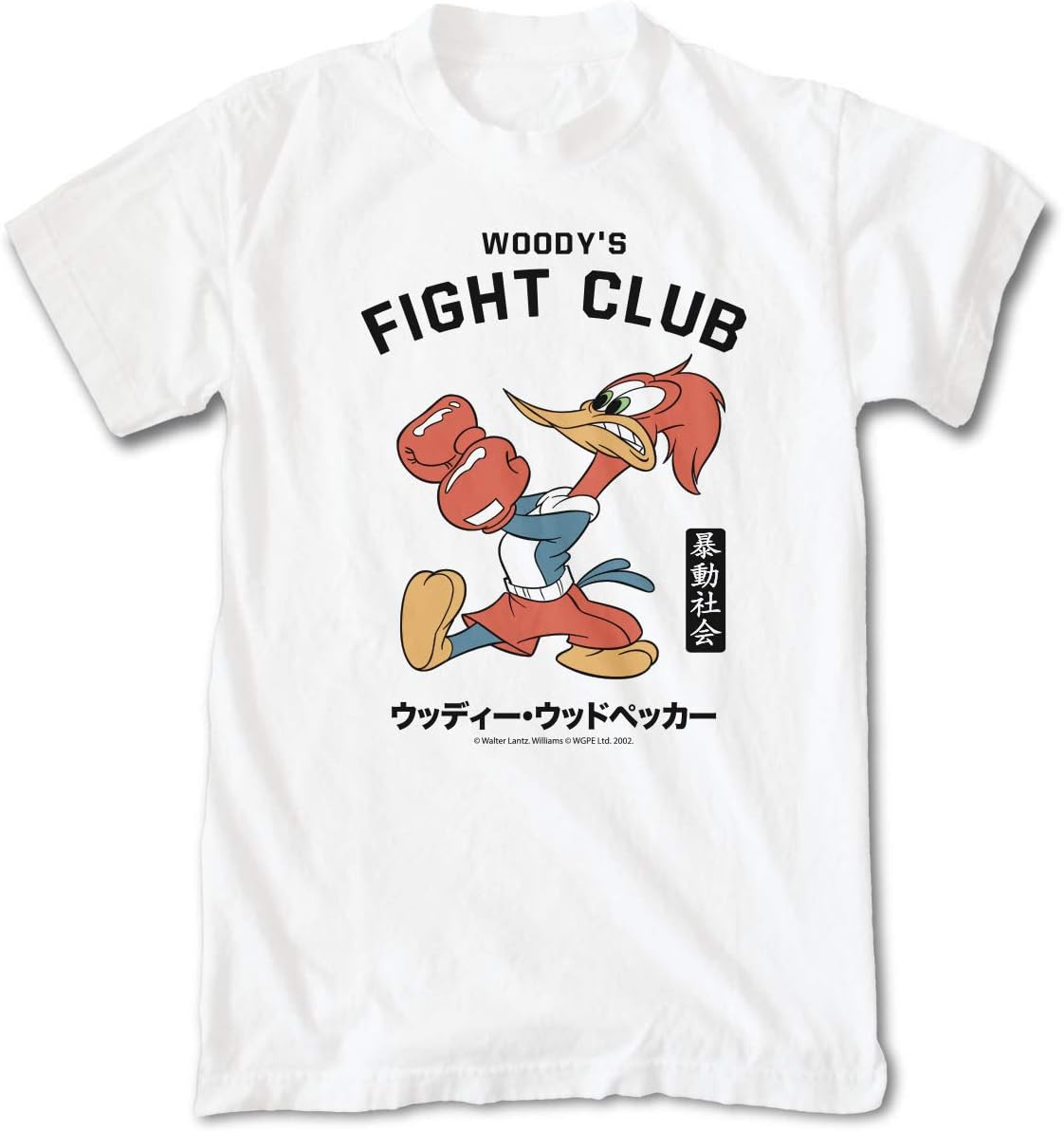 Riot Society Men's Short Sleeve Graphic Fashion T-Shirt Review