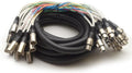 Seismic Audio 16 Channel XLR Snake 25 ft - Rugged Pro Audio Cable