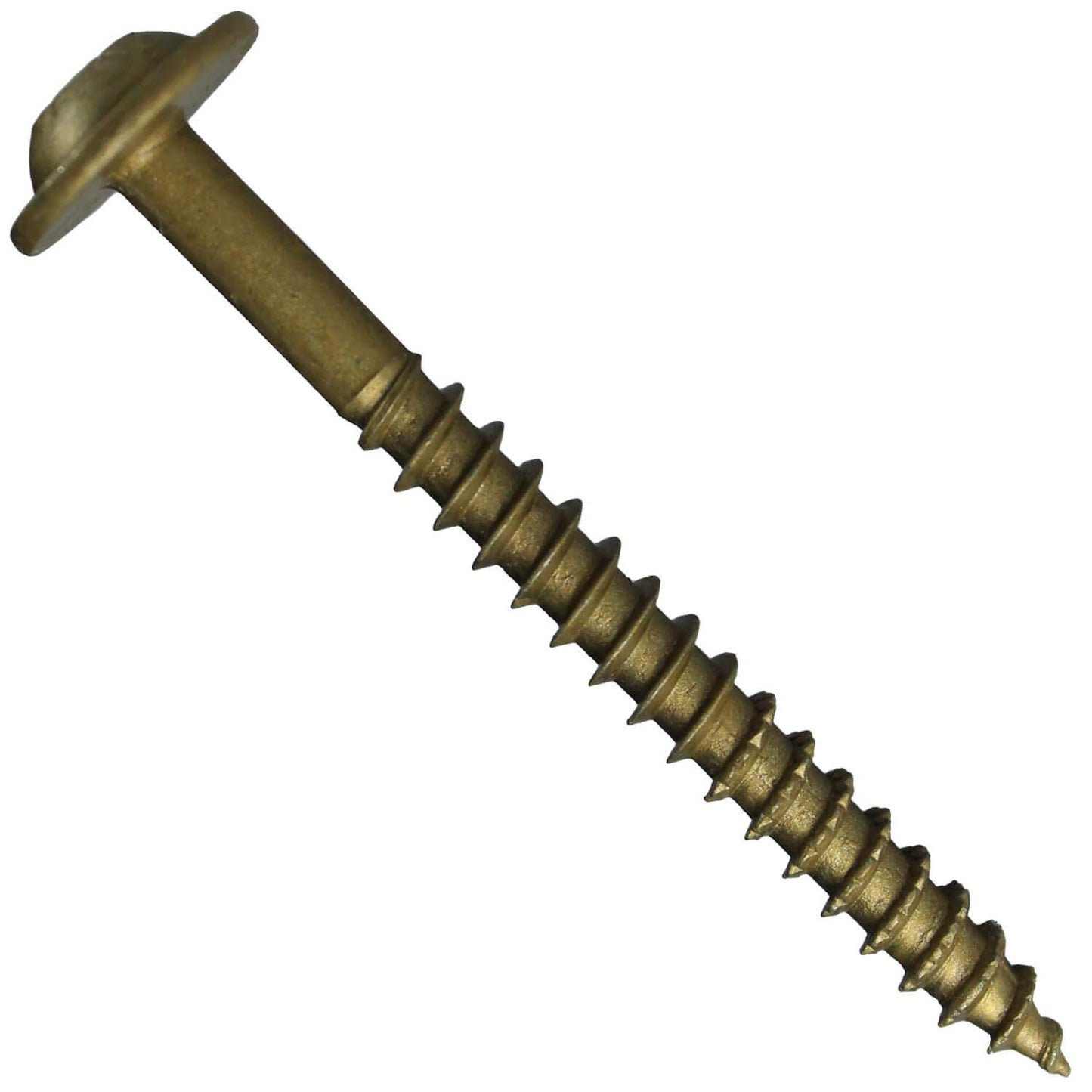 10 x 2 Exterior Coated Modified Truss Head Cabinet Screws
