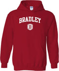 UGP Campus Apparel College Team Color Arch Logo Hoodie (Style 8SL2)
