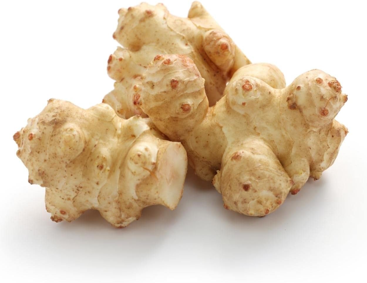 Fresh Tubers Jerusalem Artichokes for Planting or Eating