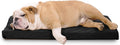 Orthopedic Crate Bed 35 x 22 - Tough Ripstop Kennel Pad in Obsidian
