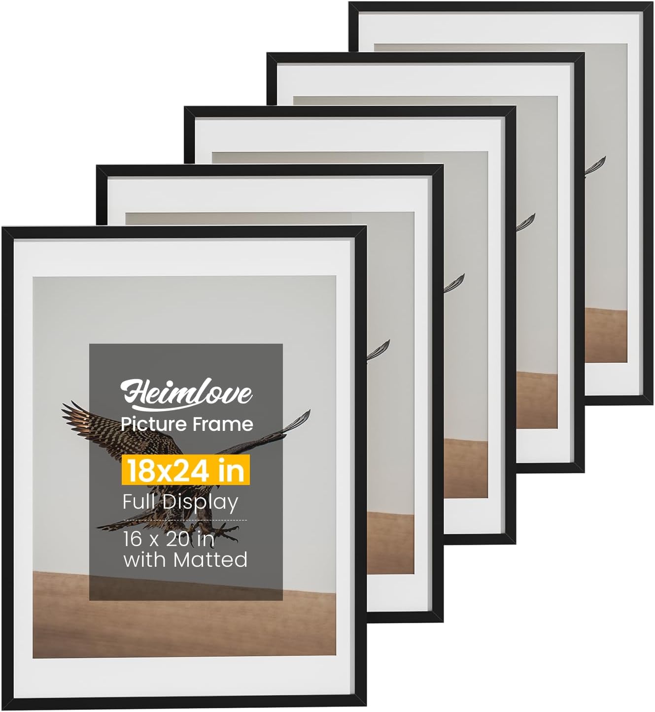 18x24 Picture Frame Set of 5 for Wall or Tabletop Display