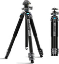 Carbon Fiber Travel Tripod with Low Profile Ball Head - Lightweight