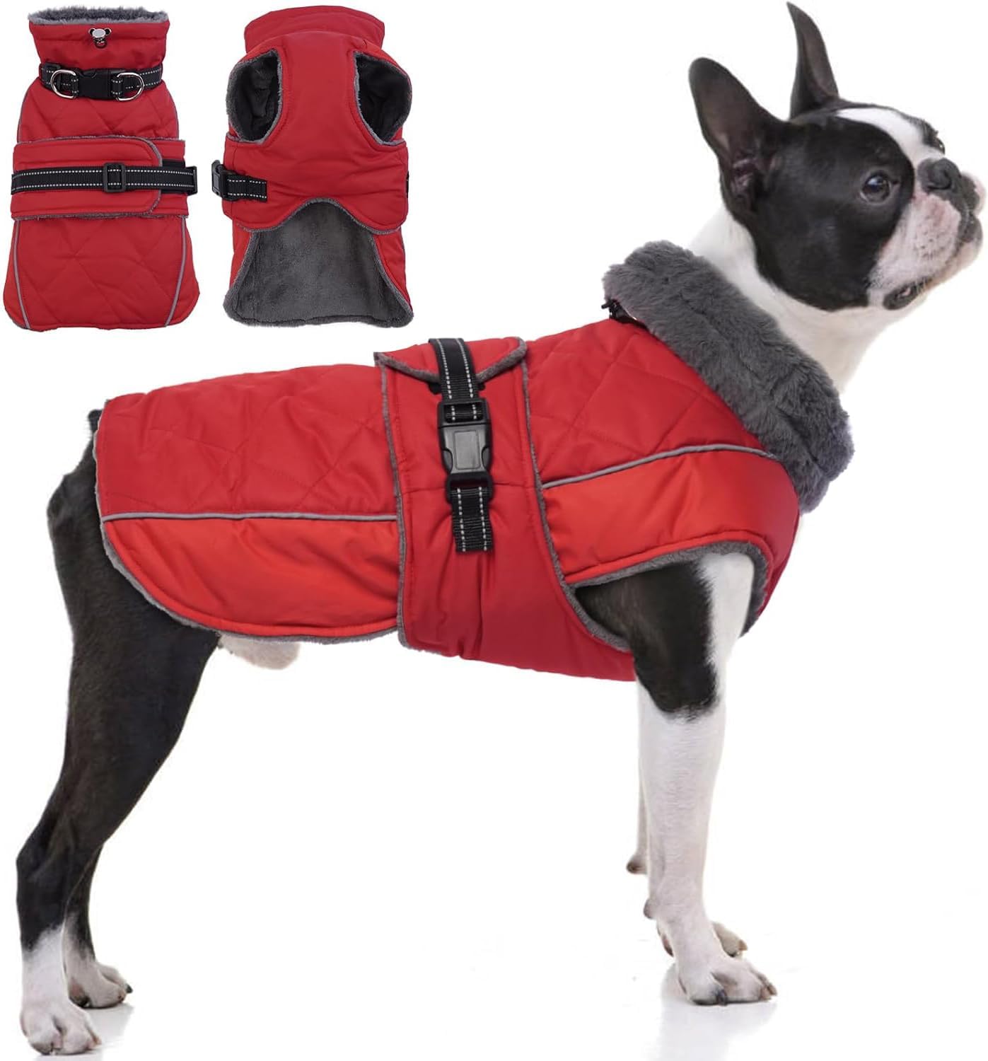 QBLEEV Warm Dog Jacket - Waterproof Winter Coat for Dogs