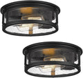 2-Light Flush Mount Light Fixtures 12in Vintage Industrial Ceiling