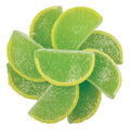 Key Lime Fruit Slices Jelly Candy - 3 Pound Bulk Candy Slices