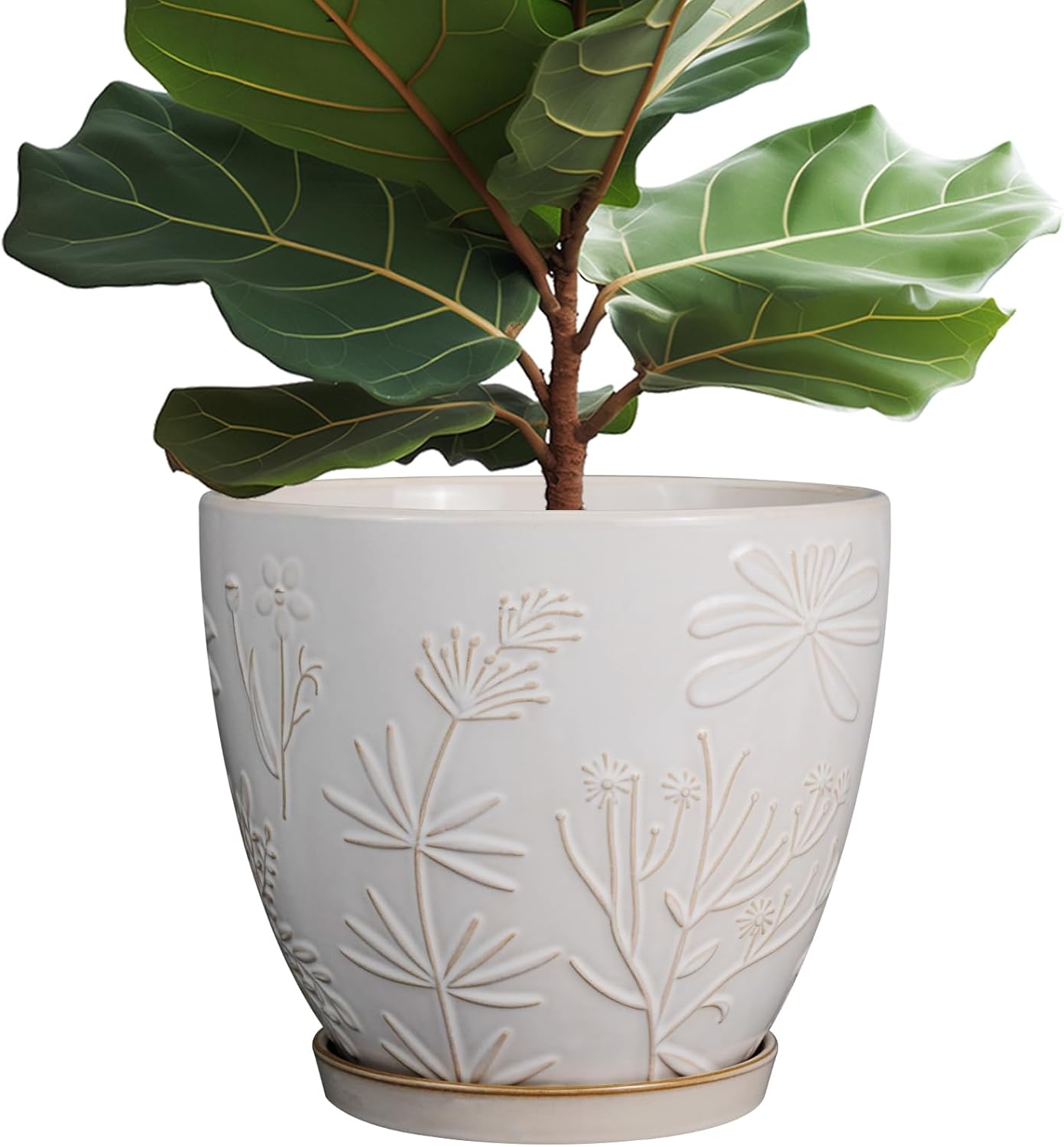 10 Inch Ceramic Planter Pot with Drainage Hole and Saucer