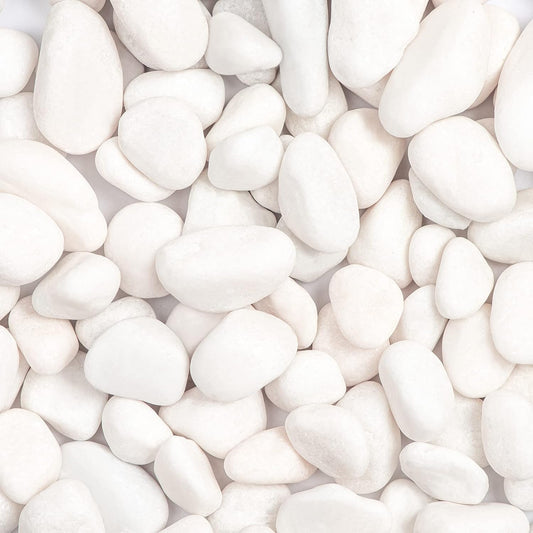 Natural River Rocks for Plants and Garden Decor - 11lbs White