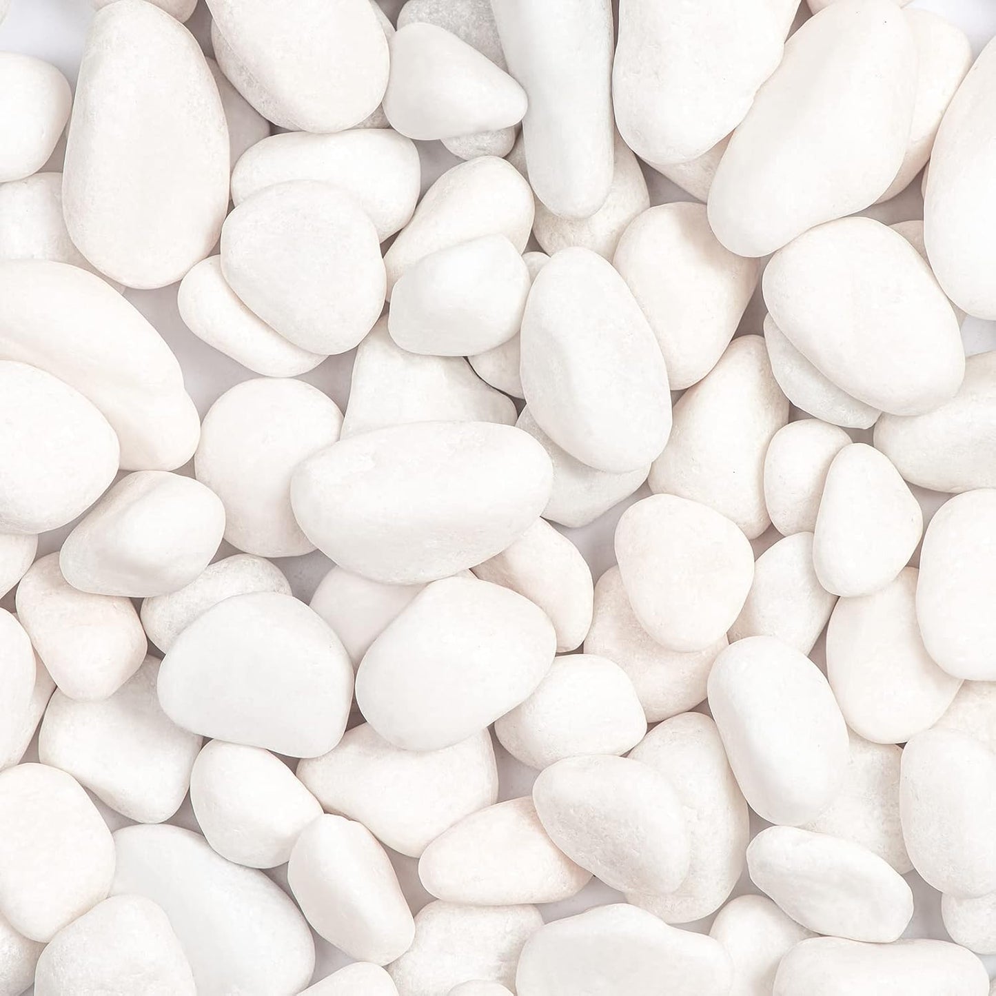 20lbs White Natural River Rocks for Garden and Home Decor