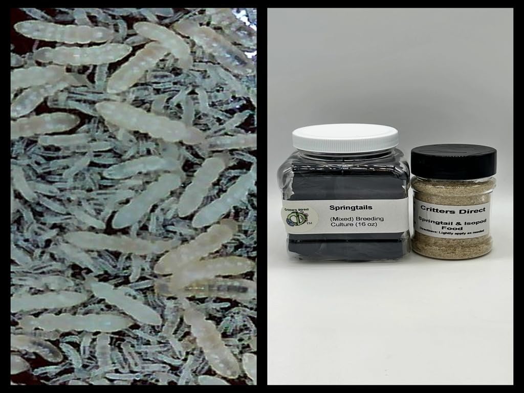Live Springtails Breeding Culture for Amphibian Habitats