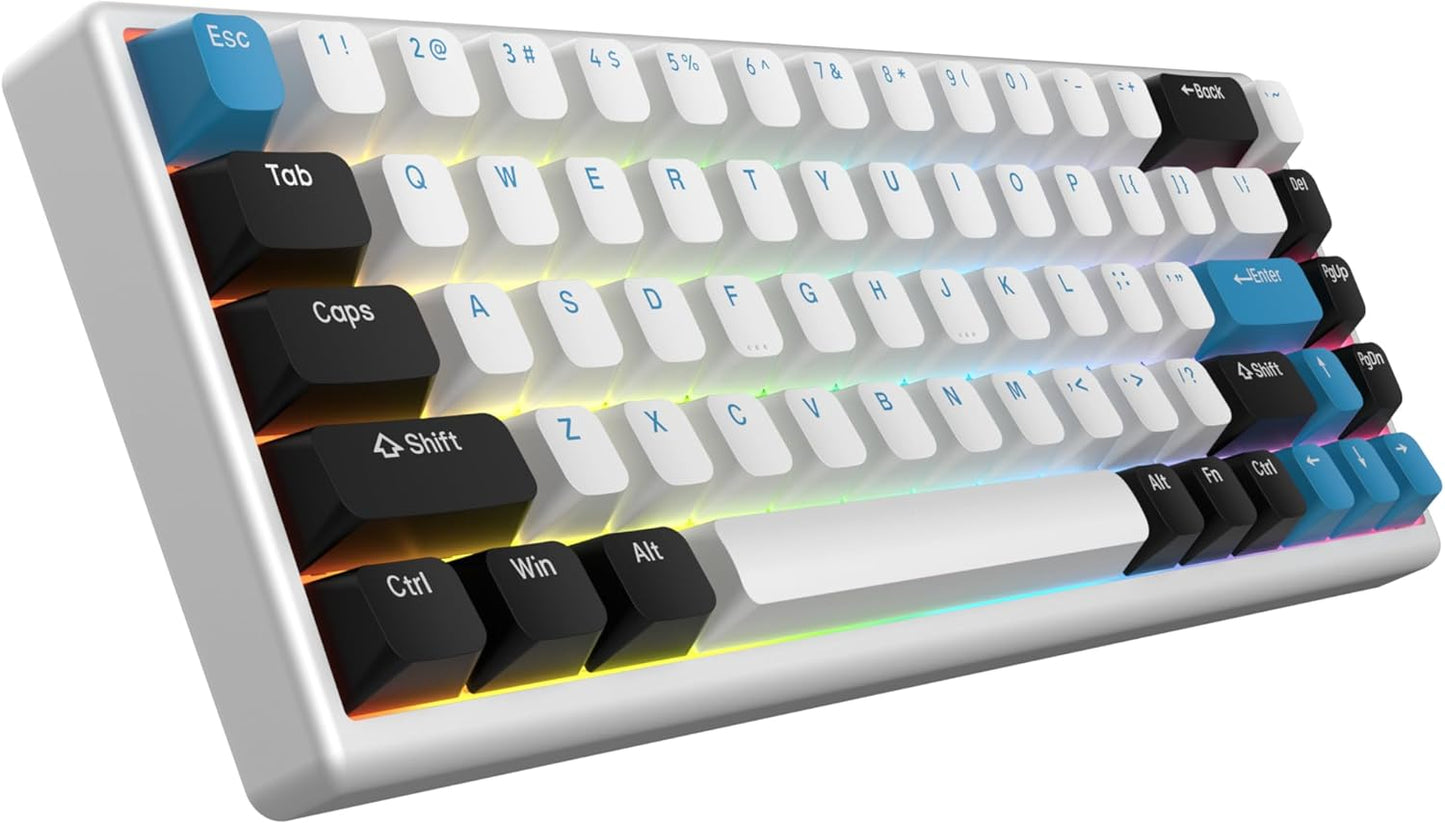 ARBITER Polar 65 Gaming Keyboard with Hall Effect Switches