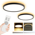 Roomratv Black Ceiling Light Fixture 2 Pack - Remote Dimmable Warm