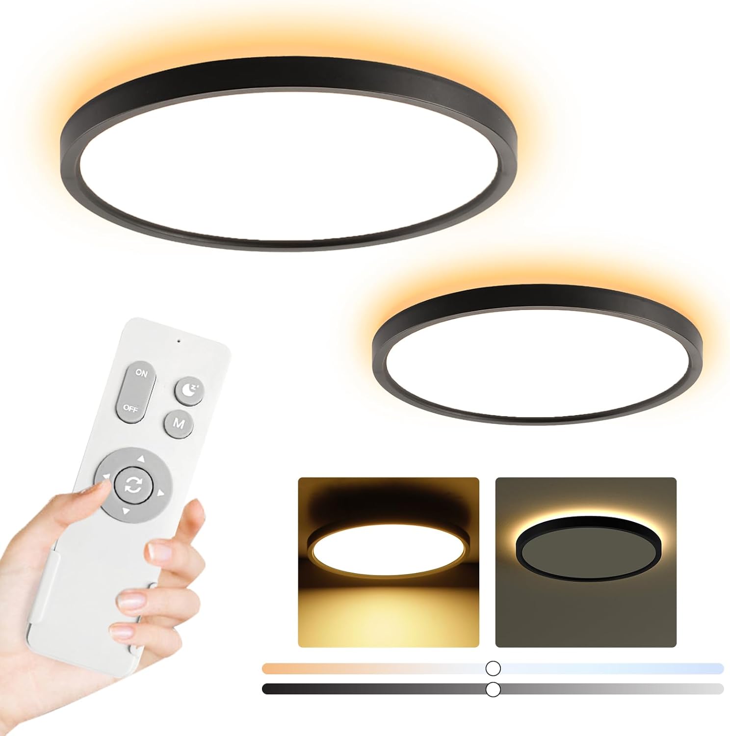Roomratv Black Ceiling Light Fixture with Remote Control