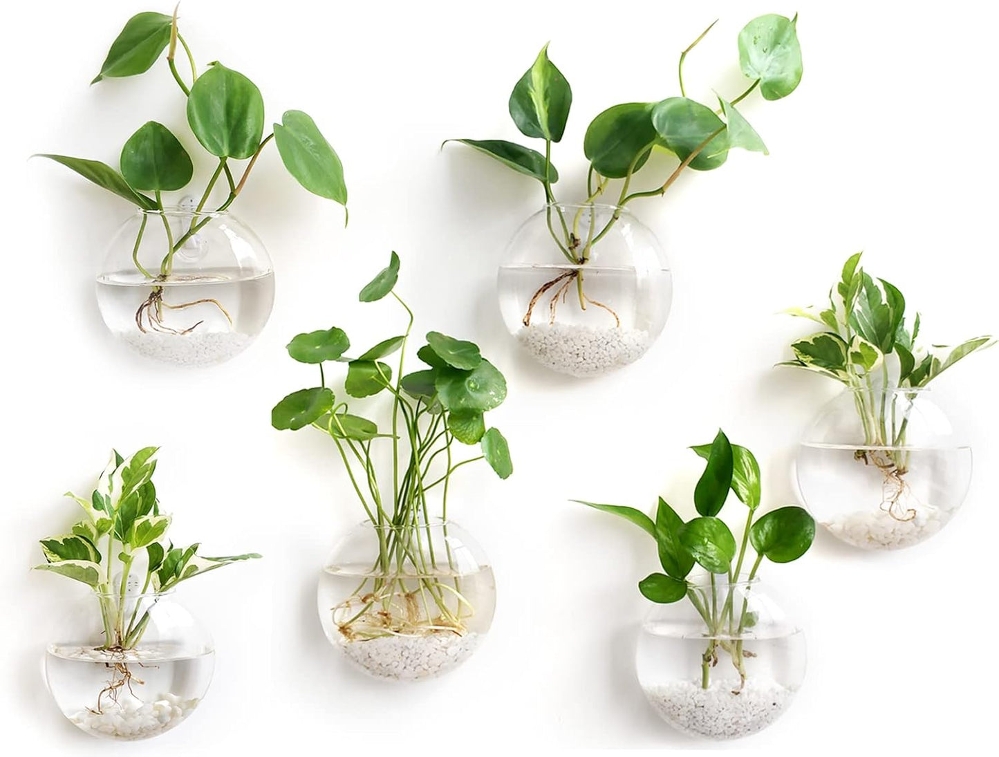 Mkono Wall Hanging Glass Terrariums for Stylish Home Decor