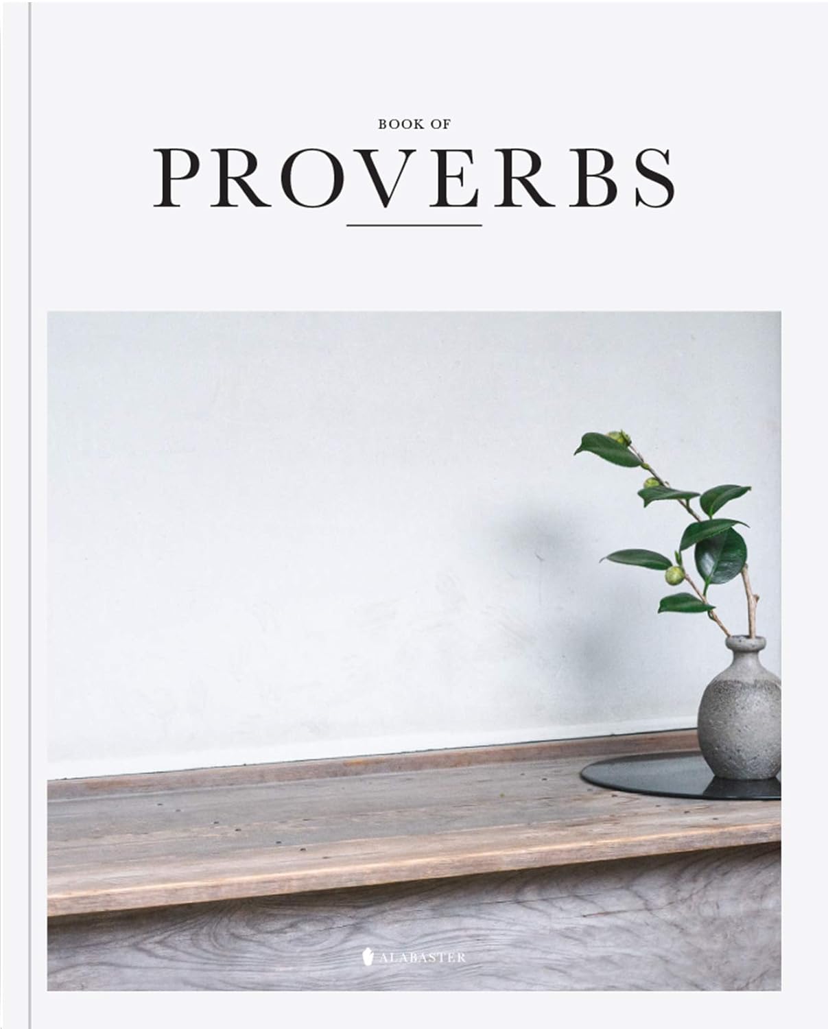 Book of Proverbs - Alabaster Bible: A Visual Journey Through Wisdom