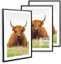 13x19 Picture Frame Set of 3 for Stunning Home Displays
