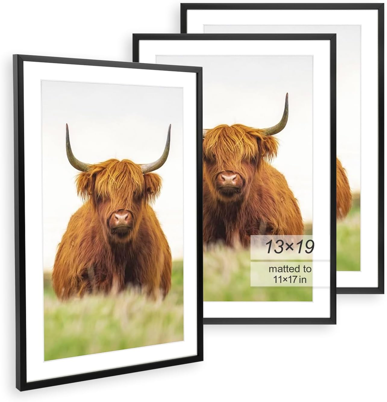 13x19 Picture Frame Set of 3 for Stunning Home Displays