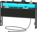 Rolanstar Headboard for Queen Bed with LED Lights and Storage