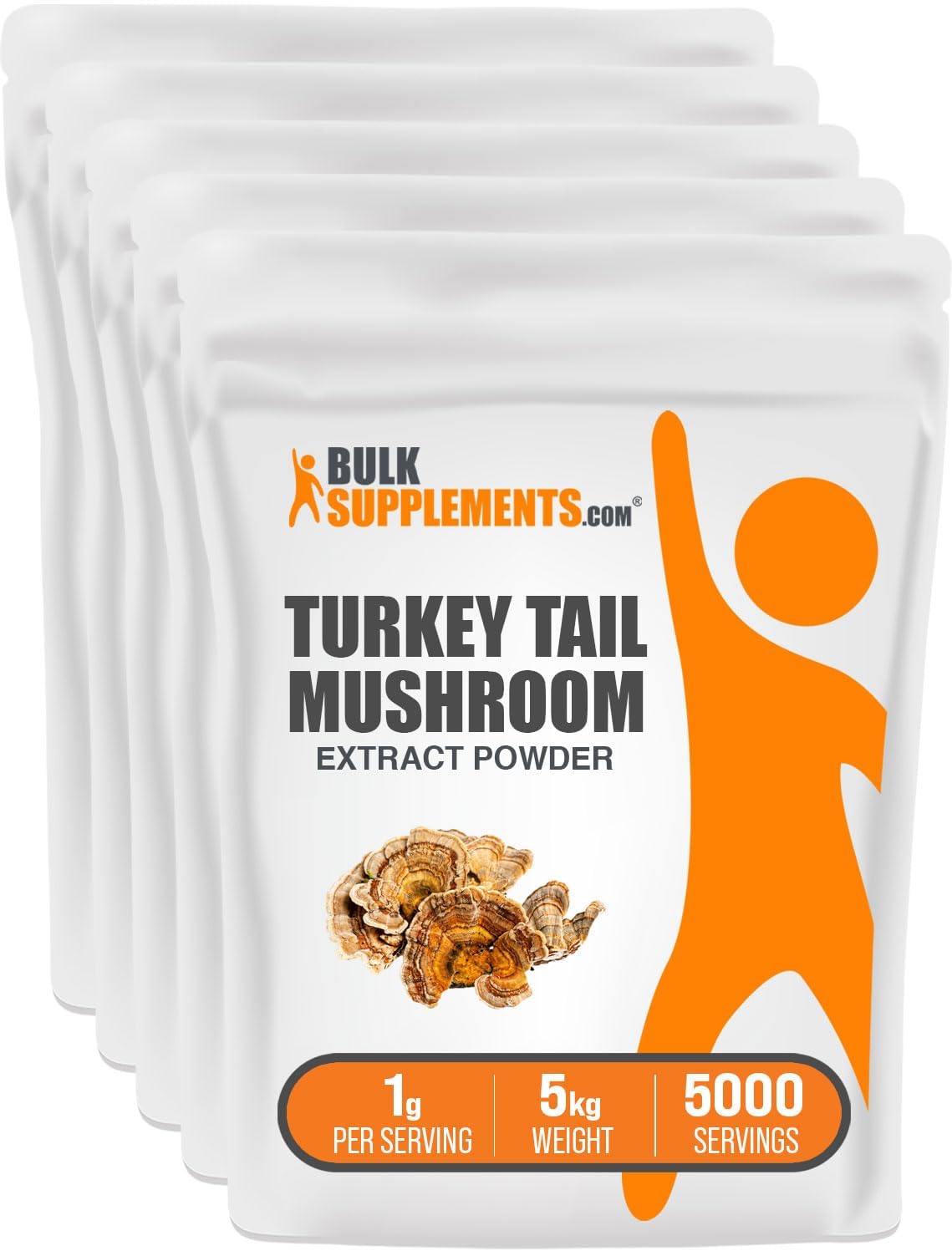 Turkey Tail Mushroom Extract Powder for Enhanced Nutrition