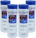 SpaChoice Premium Alkalinity Up 4-Pack - Stabilizes Spa Water