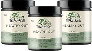 TERRA ORIGIN Healthy Gut Mint Flavor - 3-Pack for Digestive Health