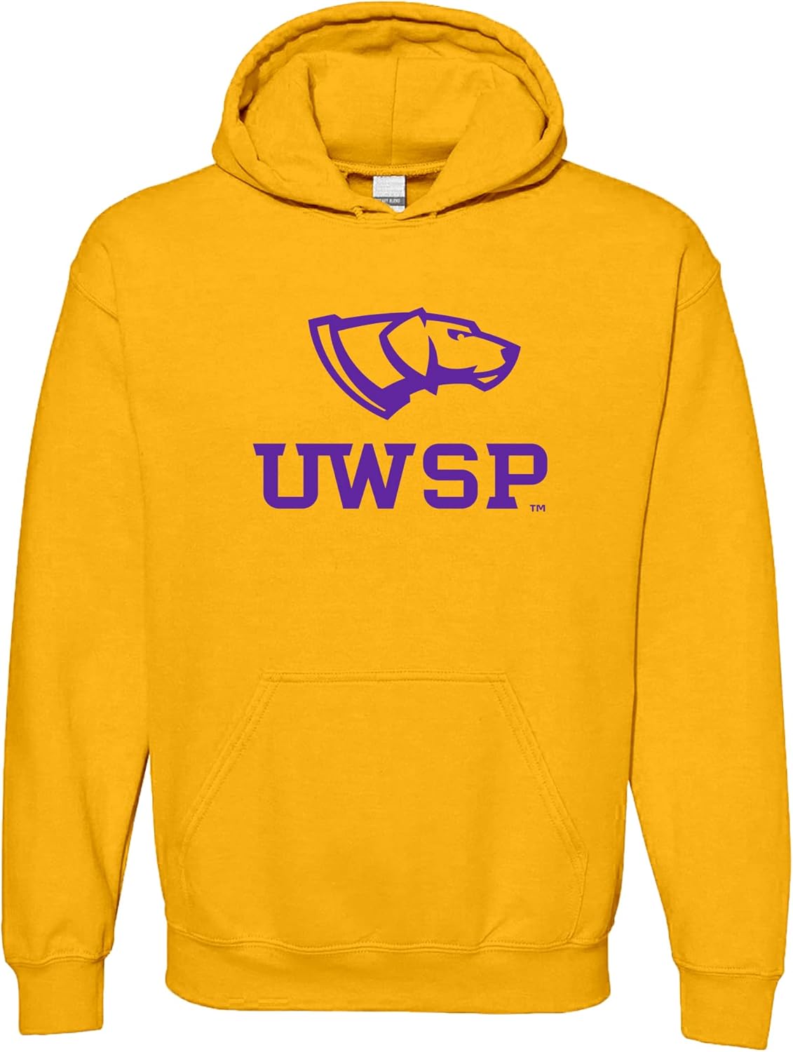 UGP Campus Apparel NCAA Primary Logo Hoodie for School Spirit