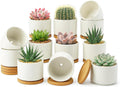 ZOUTOG 12 Pack Ceramic Succulent Pots with Bamboo Tray for Home