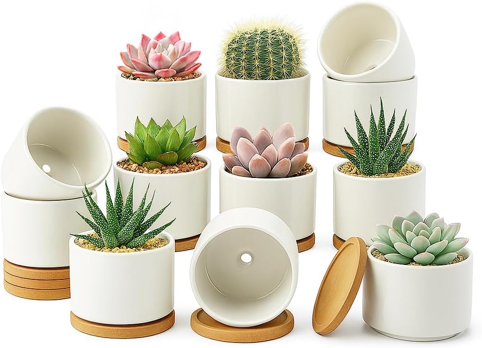 ZOUTOG 12 Pack Ceramic Succulent Pots with Bamboo Tray for Home
