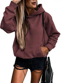 SHEWIN Women's Casual Hoodies Lightweight Pullover - Comfortable Other