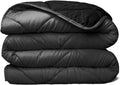 ViscoSoft Microfiber All Seasons Quilted Comforter - Reversible Soft