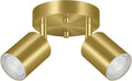 2 Light Track Lighting Fixtures Ceiling Gold Round Directional
